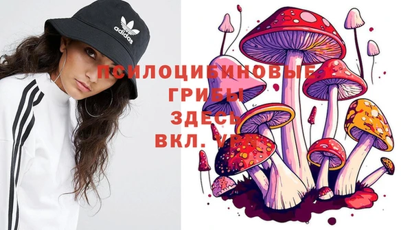 мяу мяу мука Белокуриха